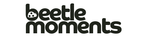 Beetle Moments